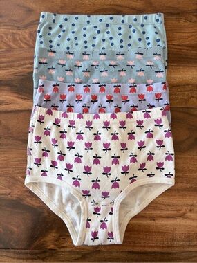 Hanna Andersson 4 Pair Big Girls Organic Cotton Classic Fit Underwear L 140 150